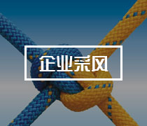企業(yè)風采
